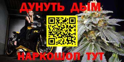 дживик Камышлов