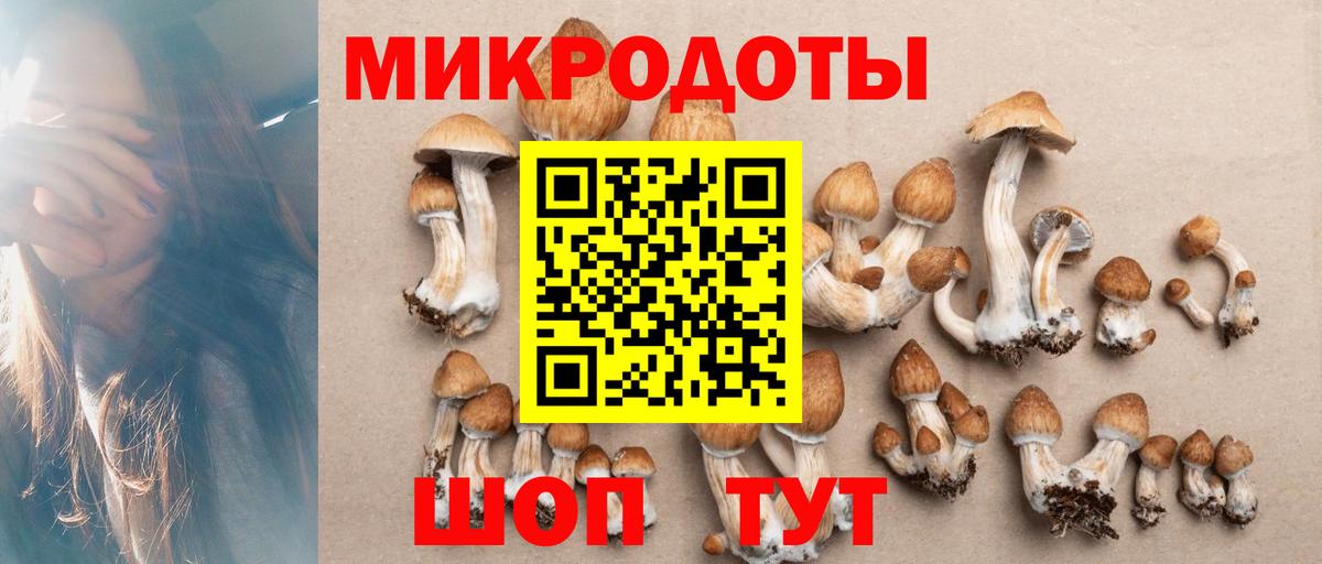 Кстово  Галлюциногенные грибы Cubensis  Вход с VPN 