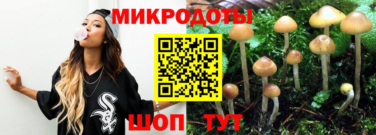 Псилоцибиновые грибы ЛСД Кстово